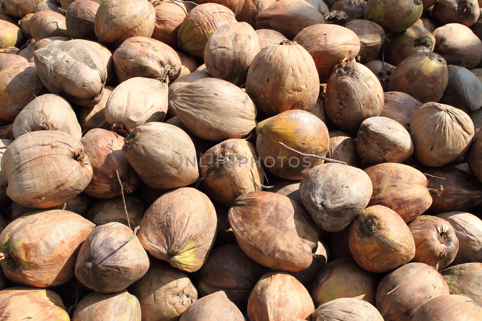 Pile of discarded coconut husks in Thailand