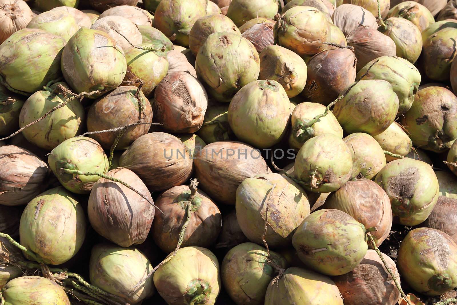 Raw green freshy coconut 
 by rufous