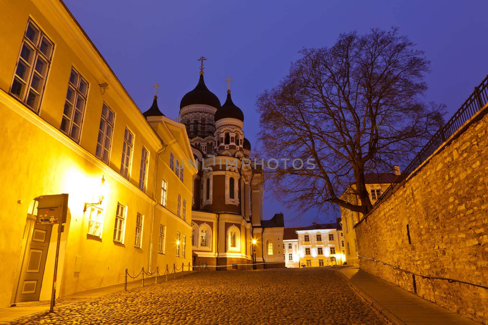 Alexander Nevsky Church in Tallinn at Night, Estonia