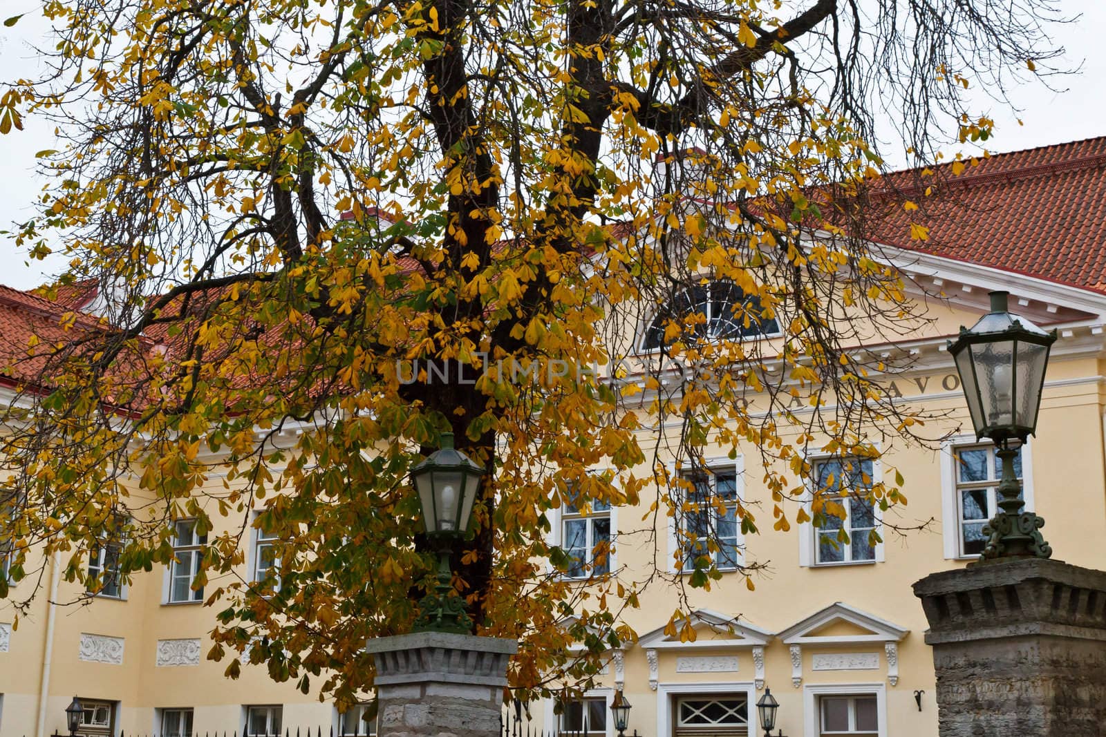 Yellow Building in the Old Town of Tallinn, Estonia