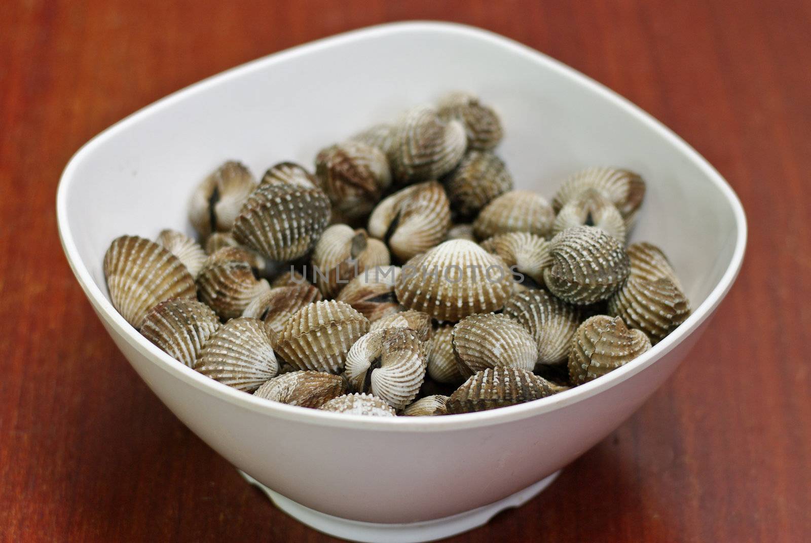 Scald scallop in white dish, Seafood