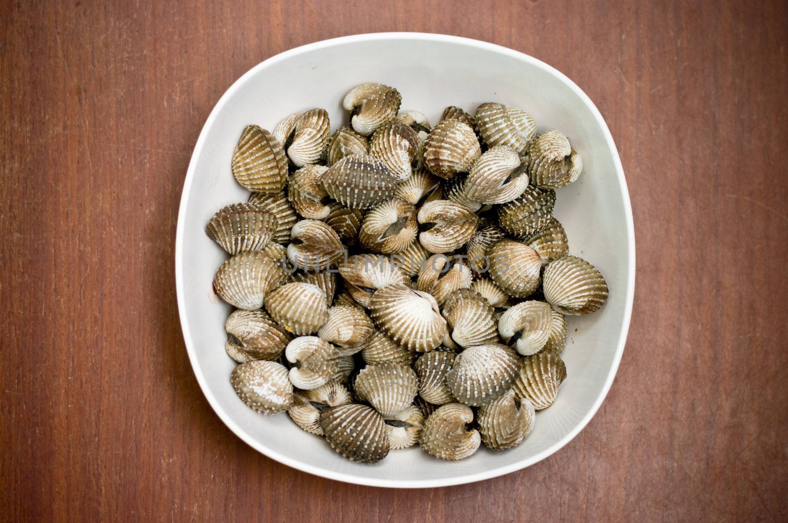 Scald scallop in white dish, Seafood