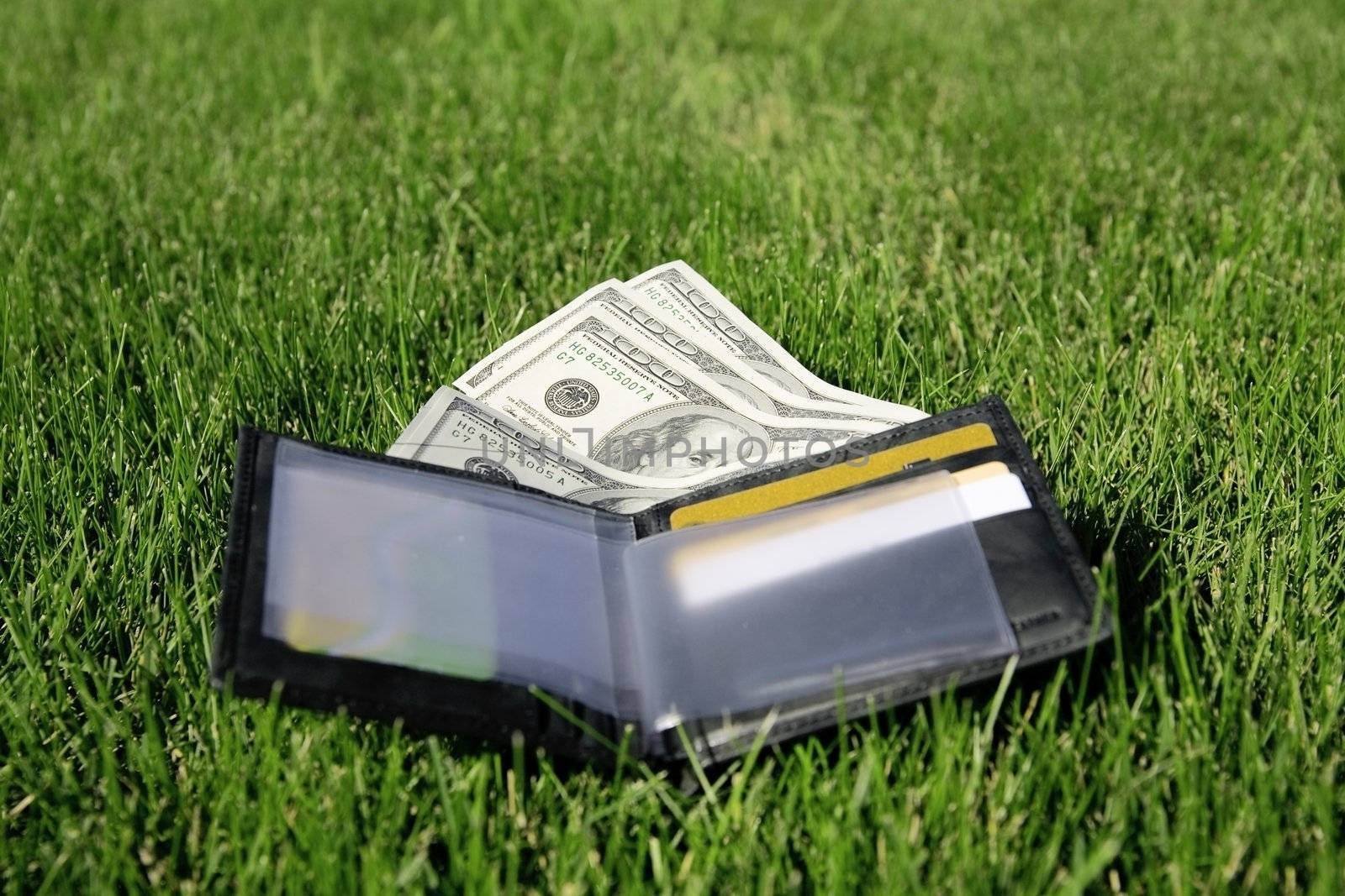 leather purse with a money on a green grass
