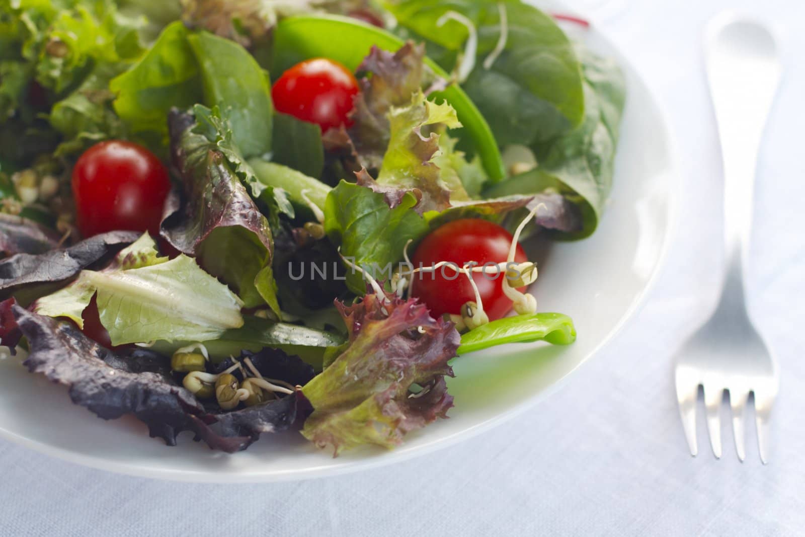 Closeup of salad on linen tablecloth