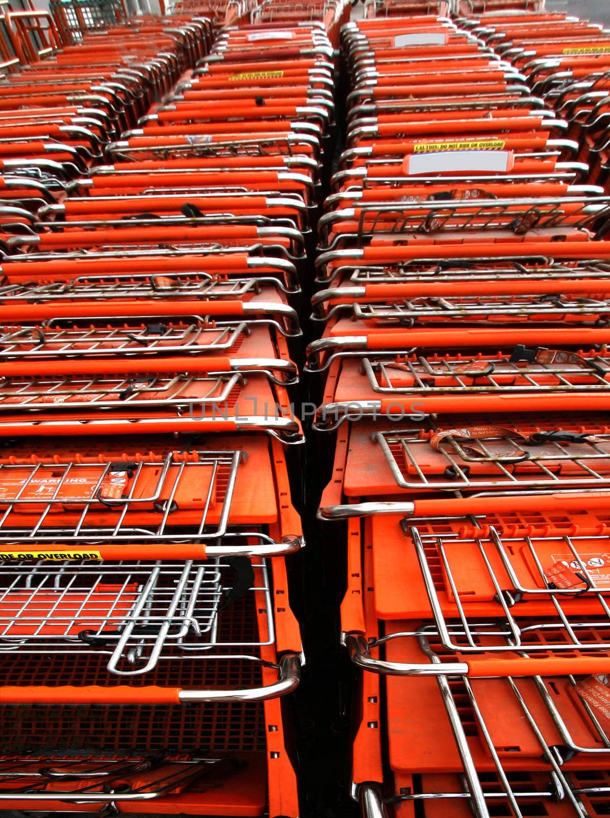 Lines of shopping carts at a retailer