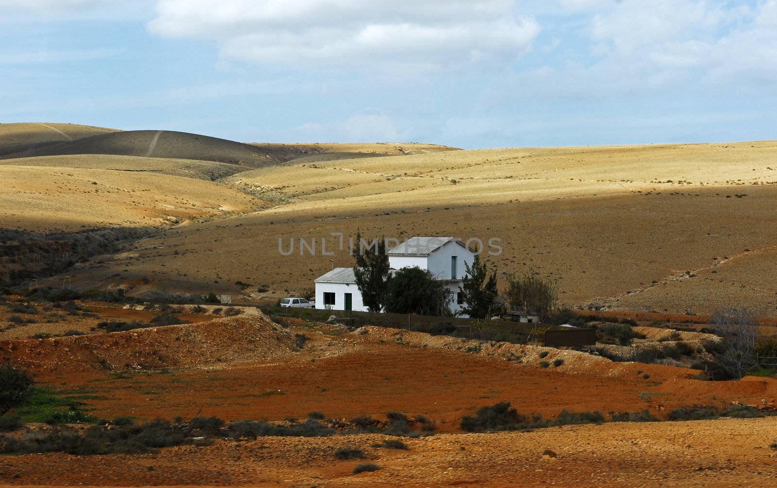 Fuerteventura,Canary islands