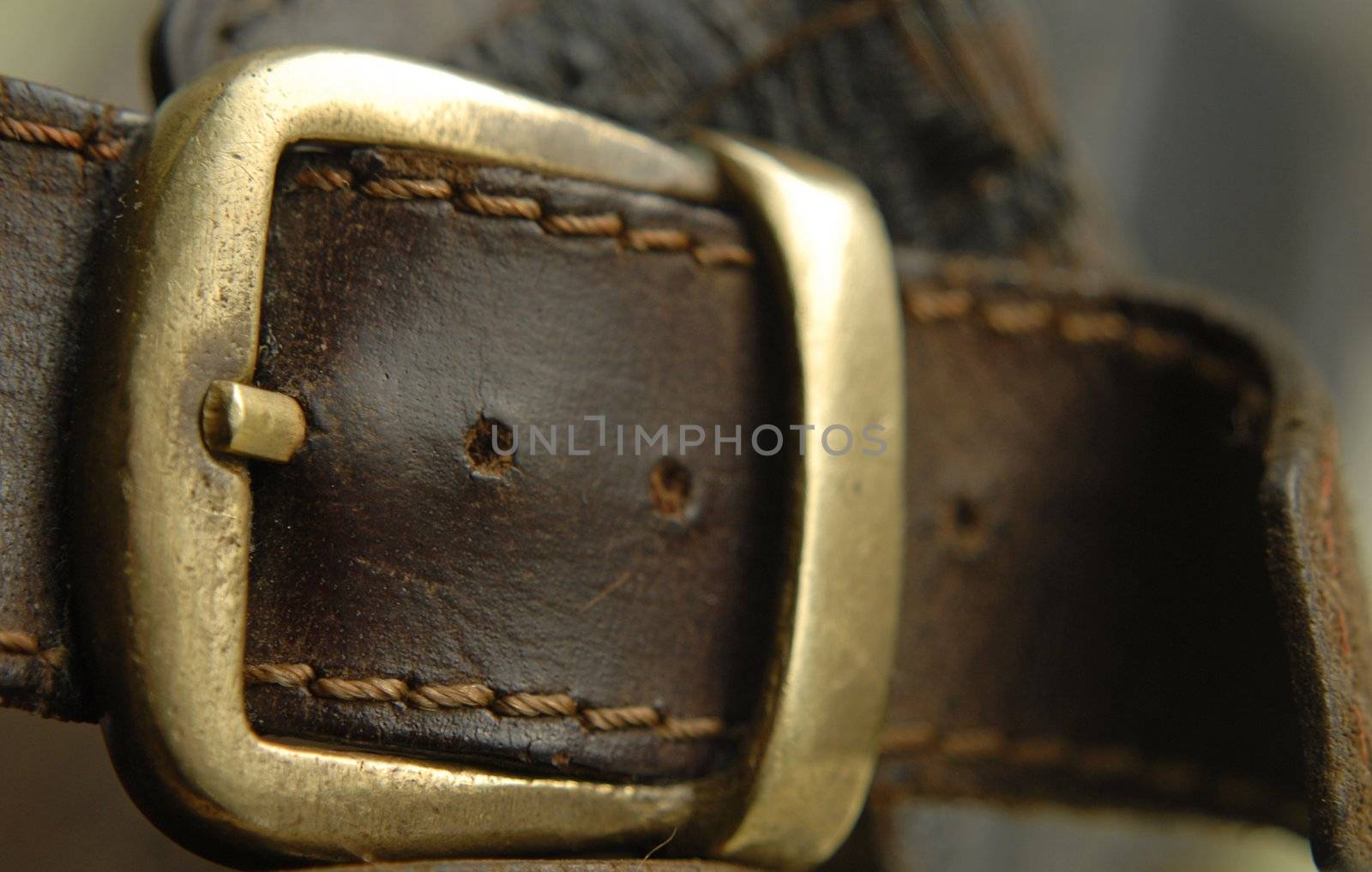 leather belt clasp by severija