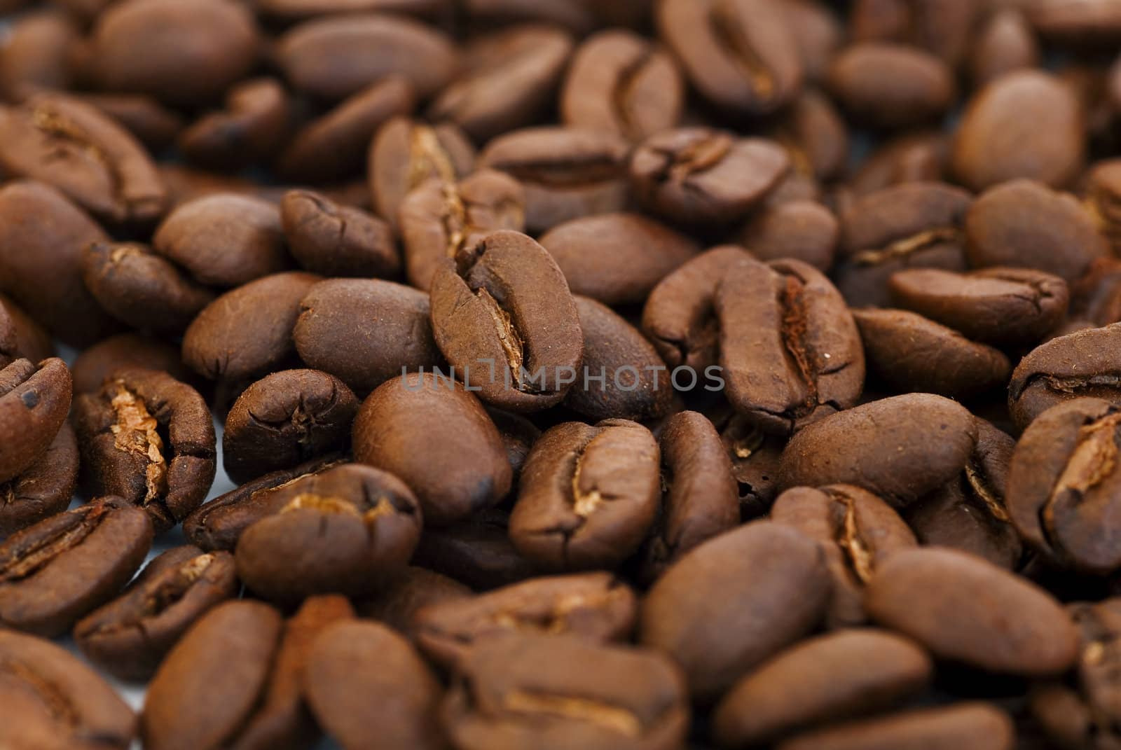 brown scented coffee beans as food background