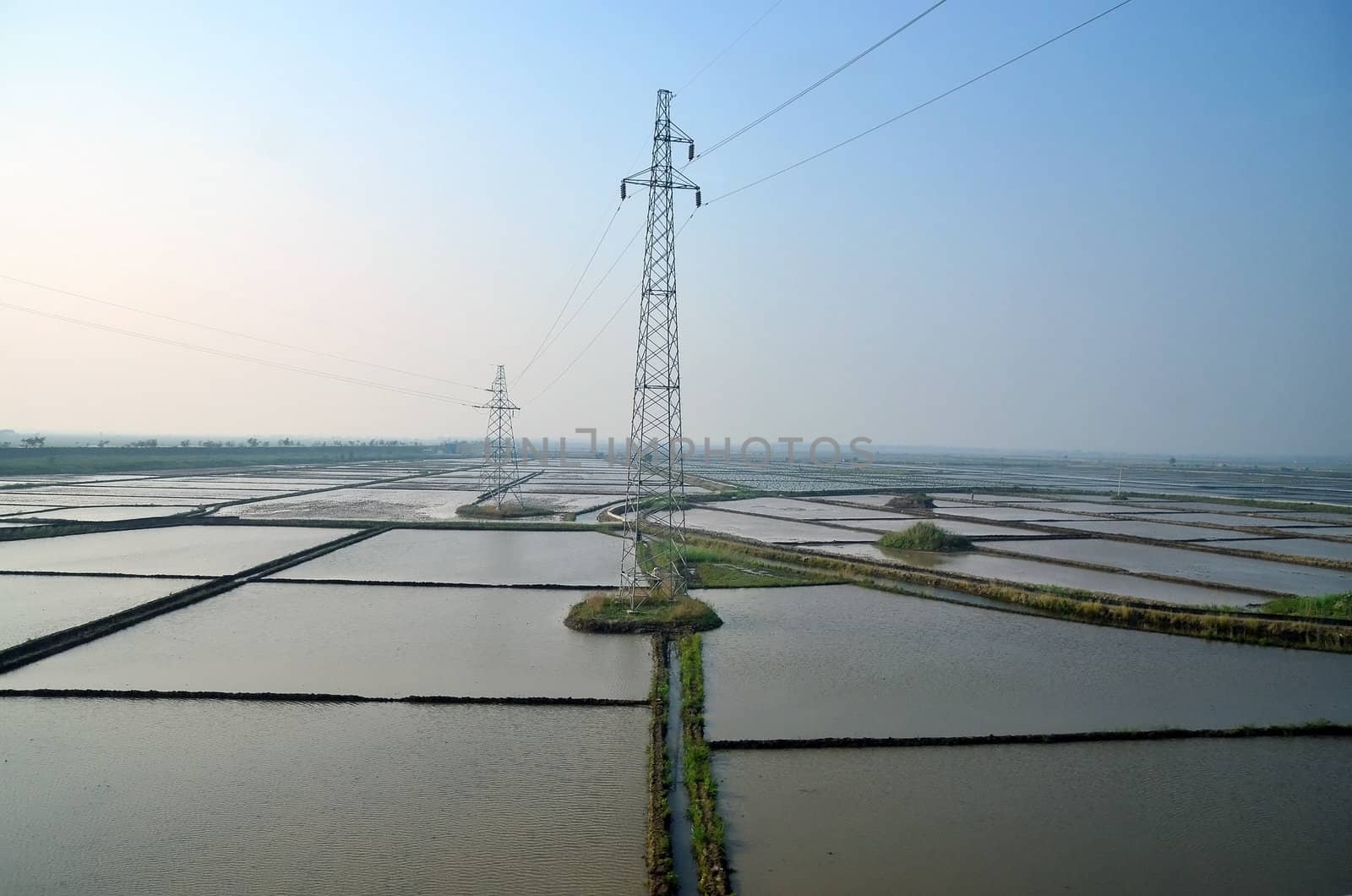 View of the rice fields in Hebei province in north east China