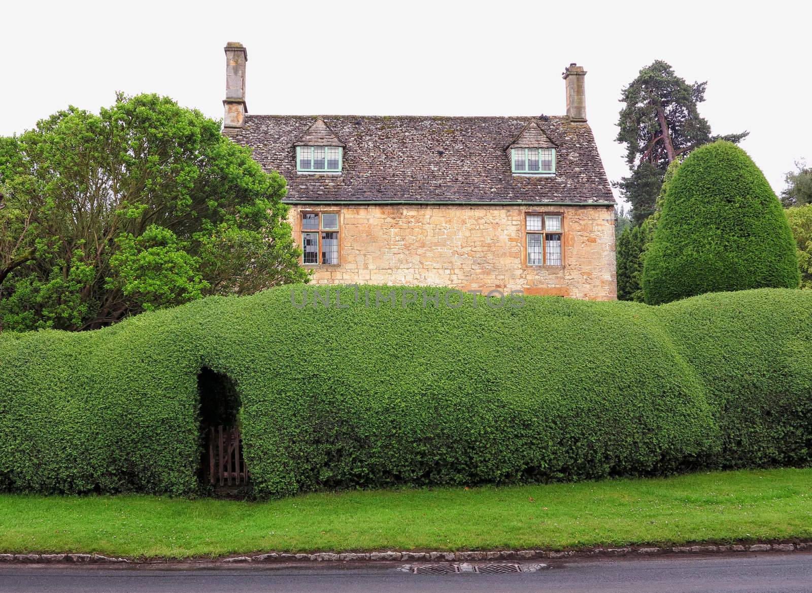 Traditional English village house in Chipping Camden with a beautiful cut hedge in front.