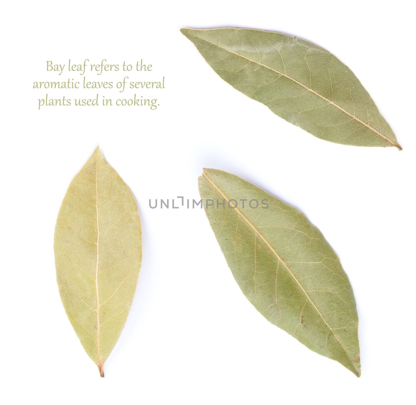 Dried bay leaves isolated on white