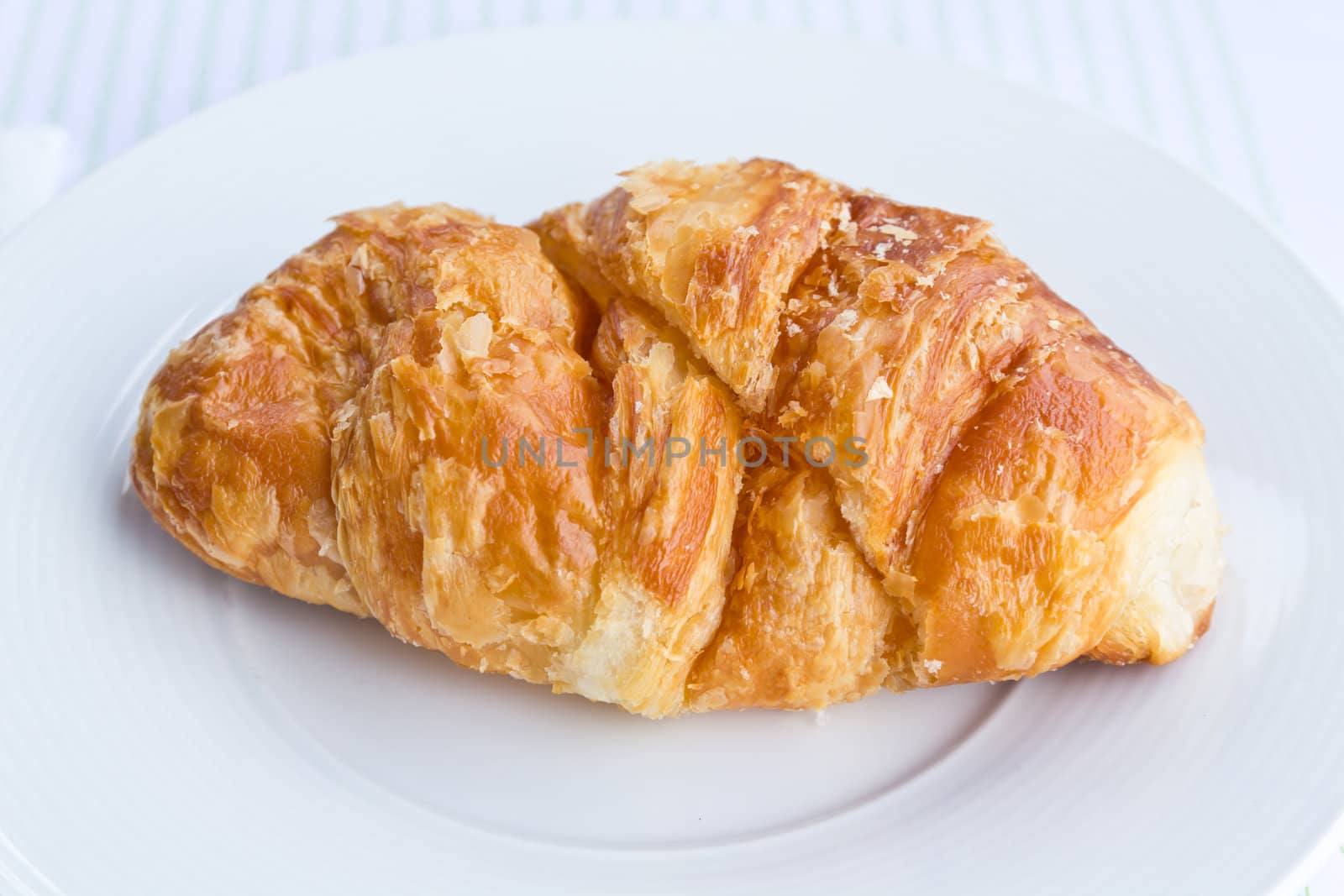 The fresh croissant isolated on white plate by lavoview