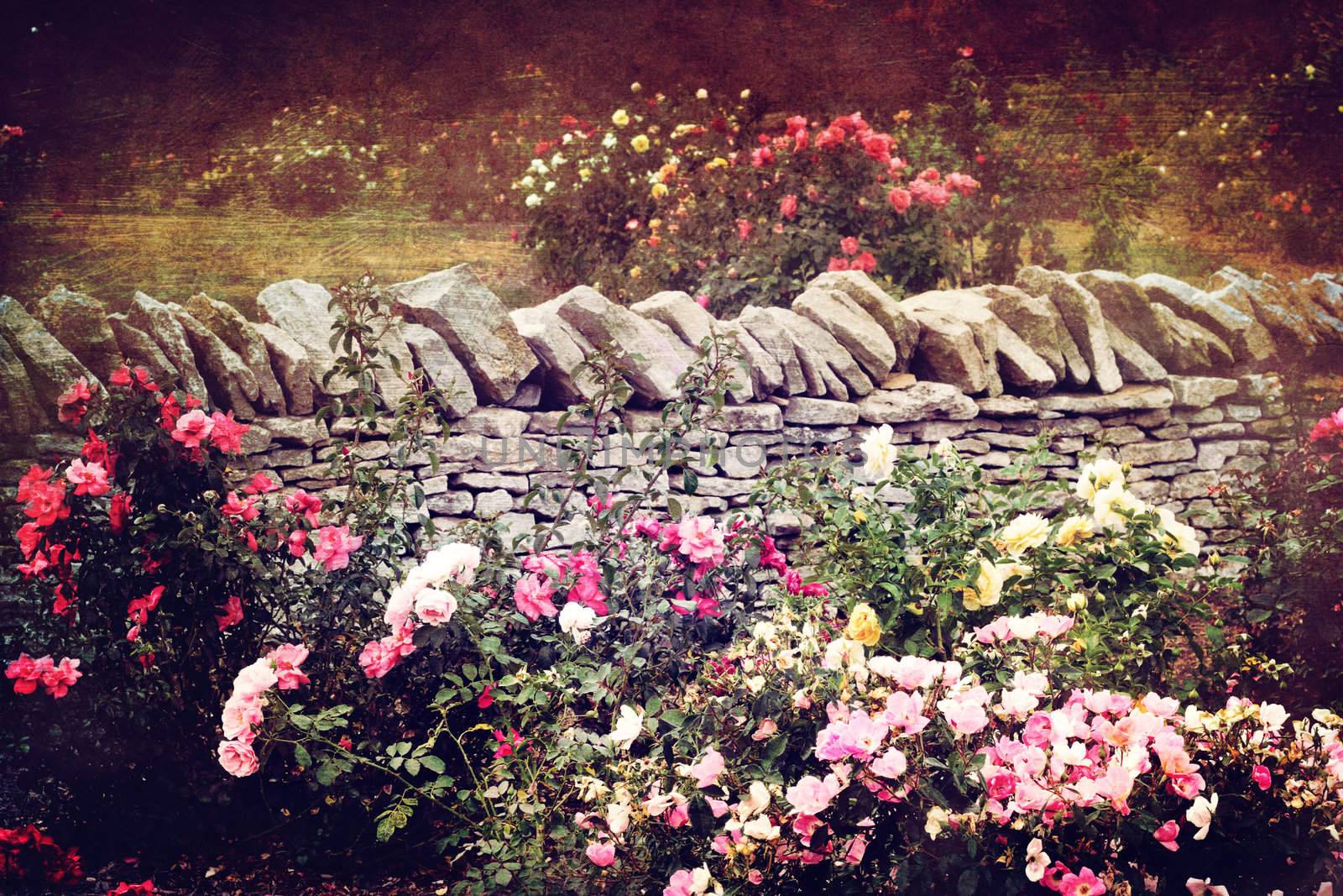 The Rose Garden by StephanieFrey