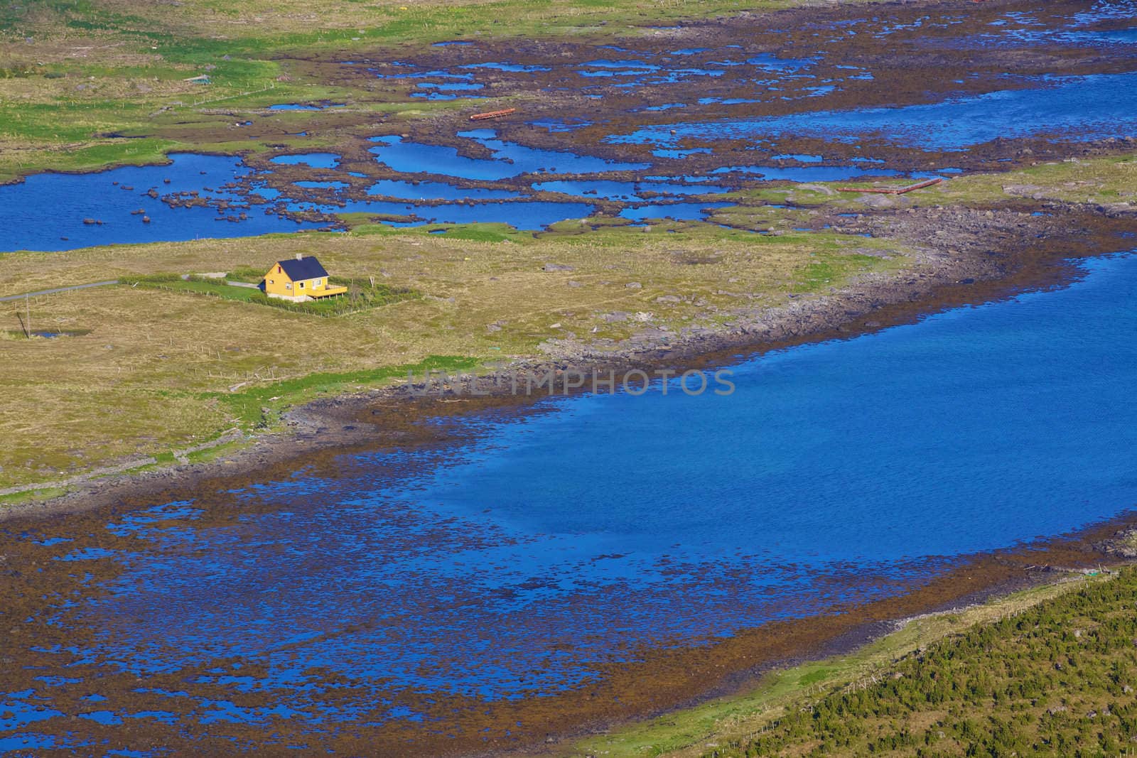 Lone house in swamps on norwegian island of Vaeroy, Lofoten