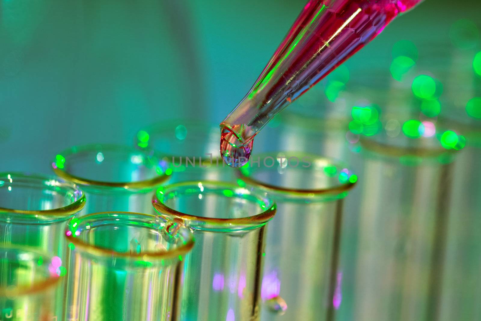 Pipette adding fluid to one of several test tubes
