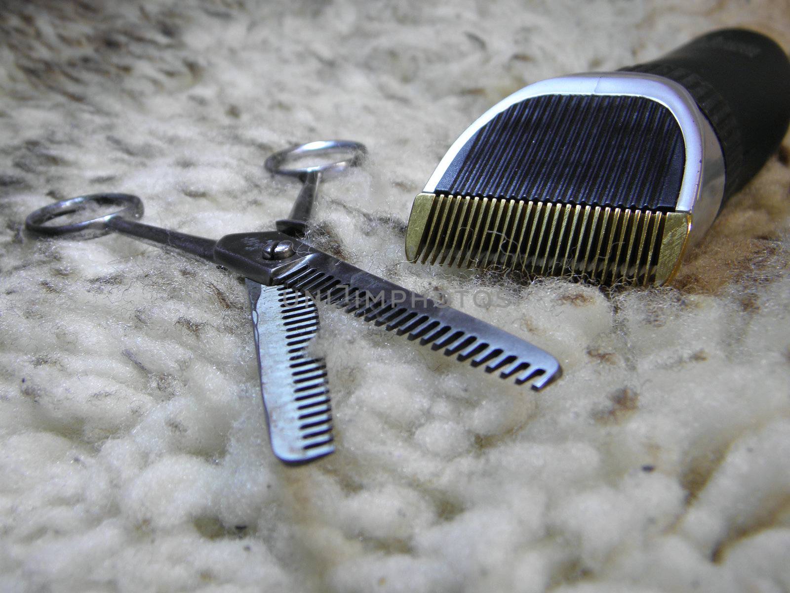 close up of haircutter and scissors