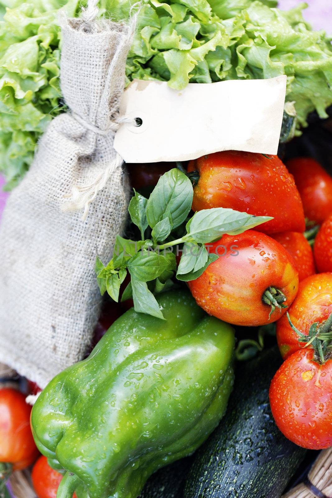 different wet vegetables on table in garden