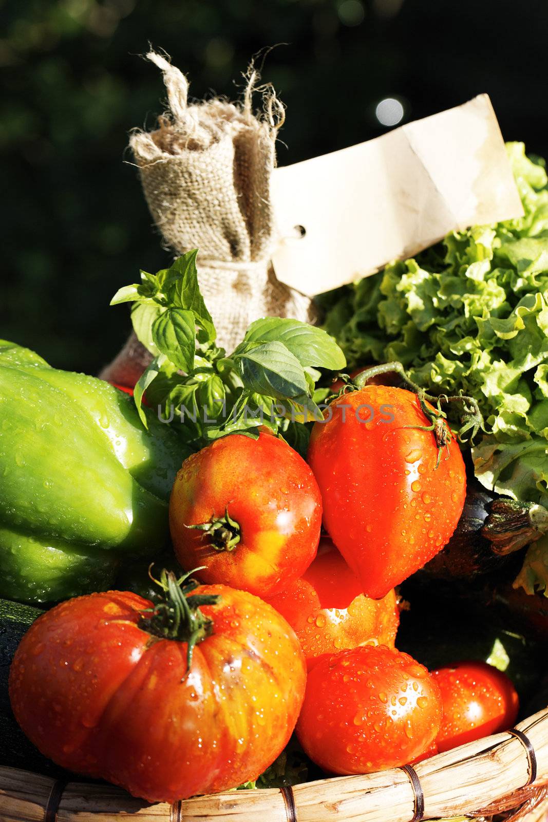 different wet vegetables on the table in garden