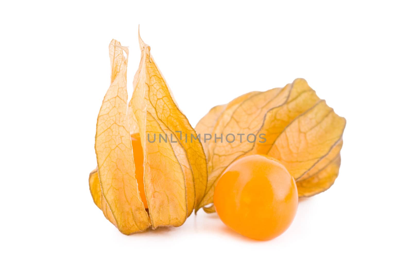 Fresh physalis fruits isolated on white, jam-berry