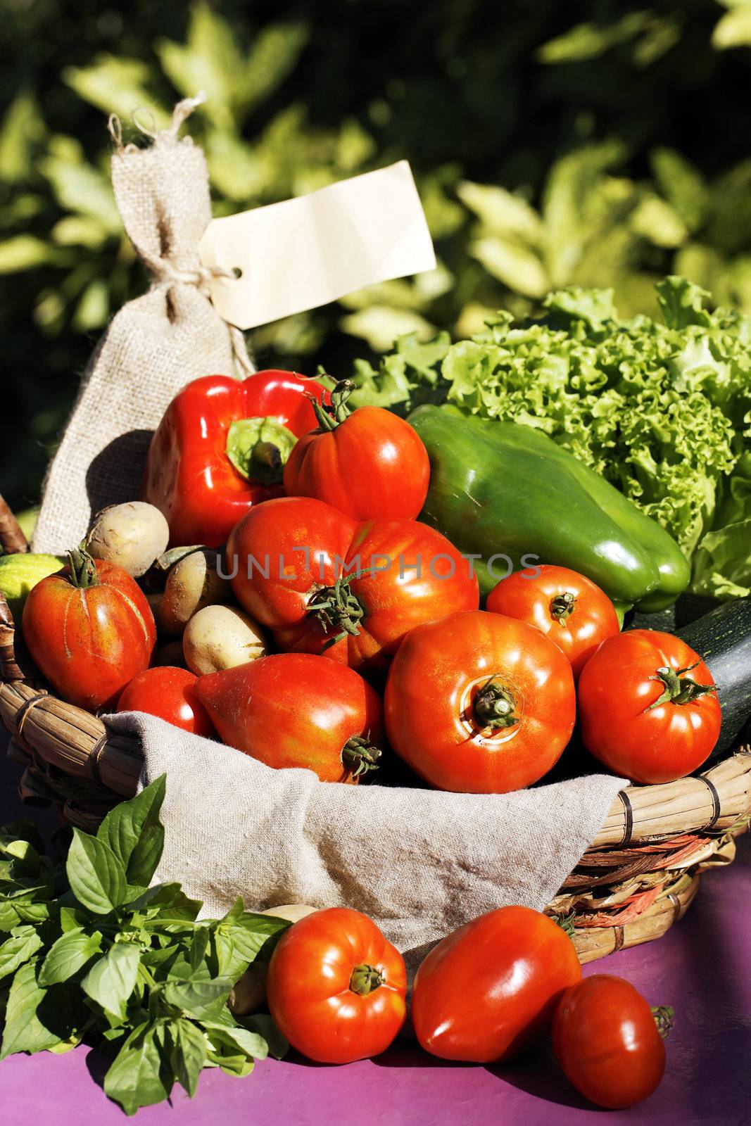 some fresh vegetables on the table in garden