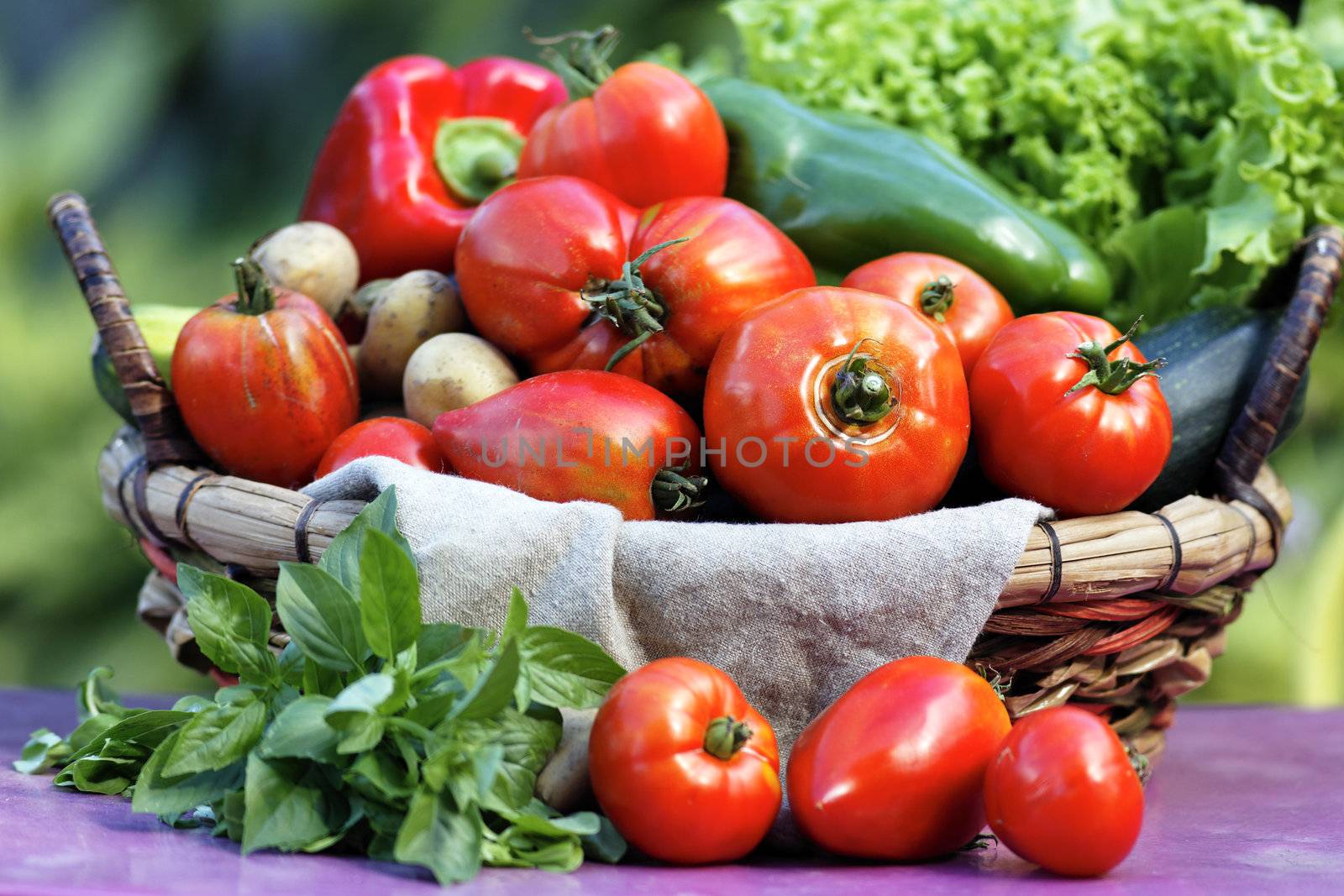 Different fresh vegetables on the table 
