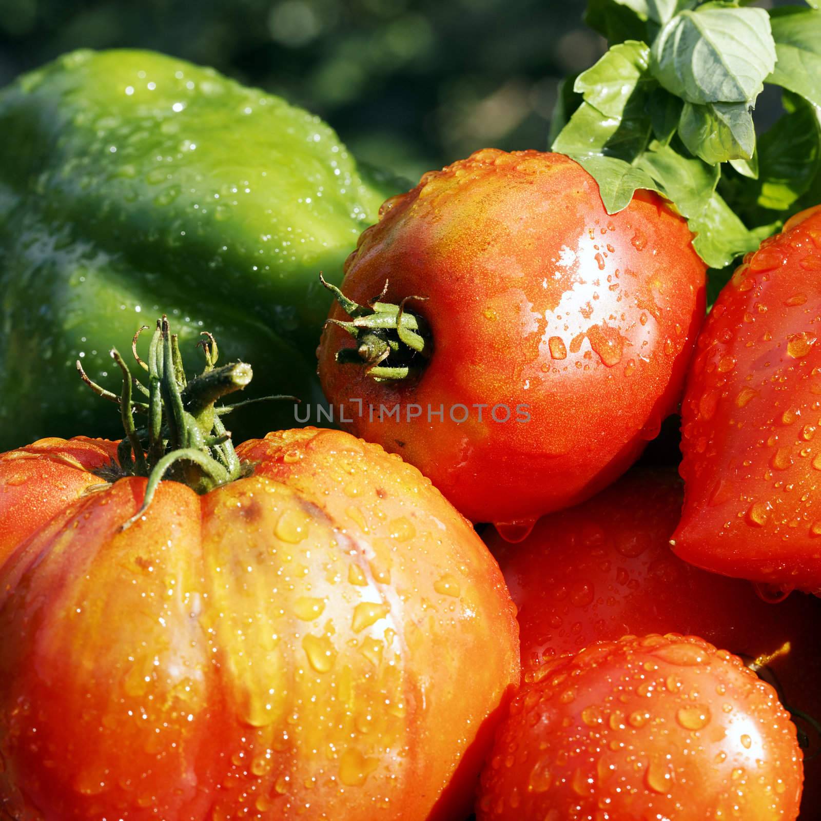 vegetables square by vwalakte