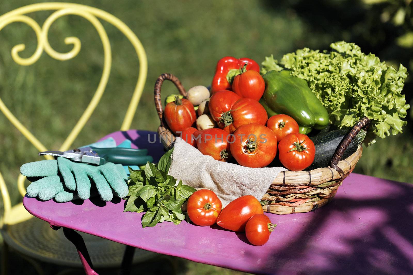 some fresh vegetables on the table in garden