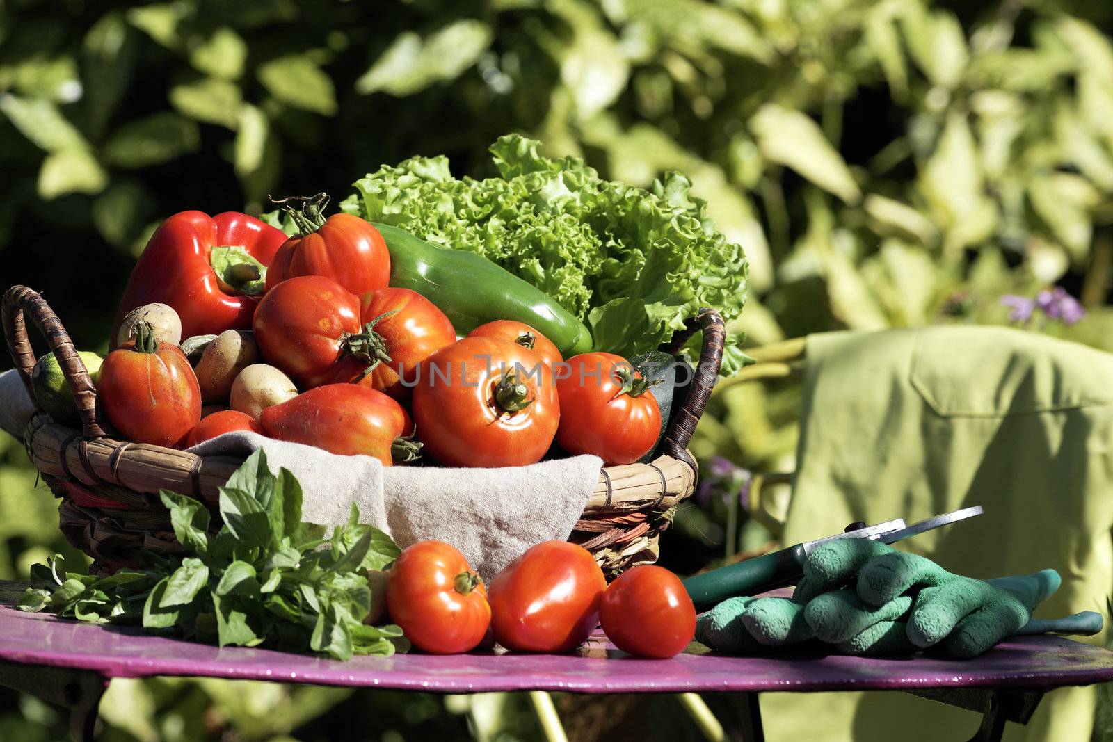 Different fresh vegetables on table in garden