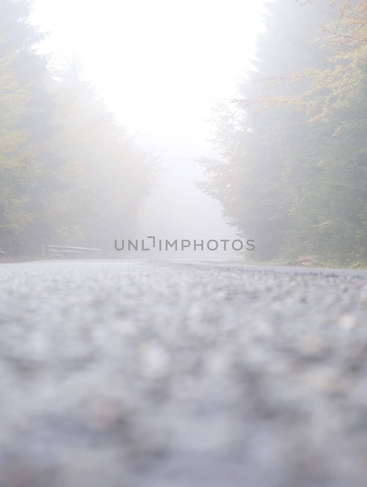 Wet mounain road in the foggy day. Carpathians Mountains, Romania