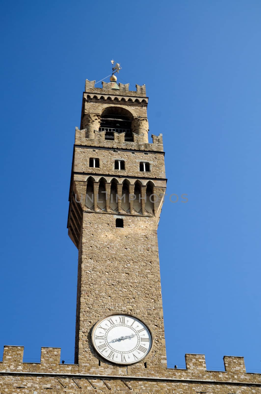 Palazzo Vecchio (Florence) by mizio1970