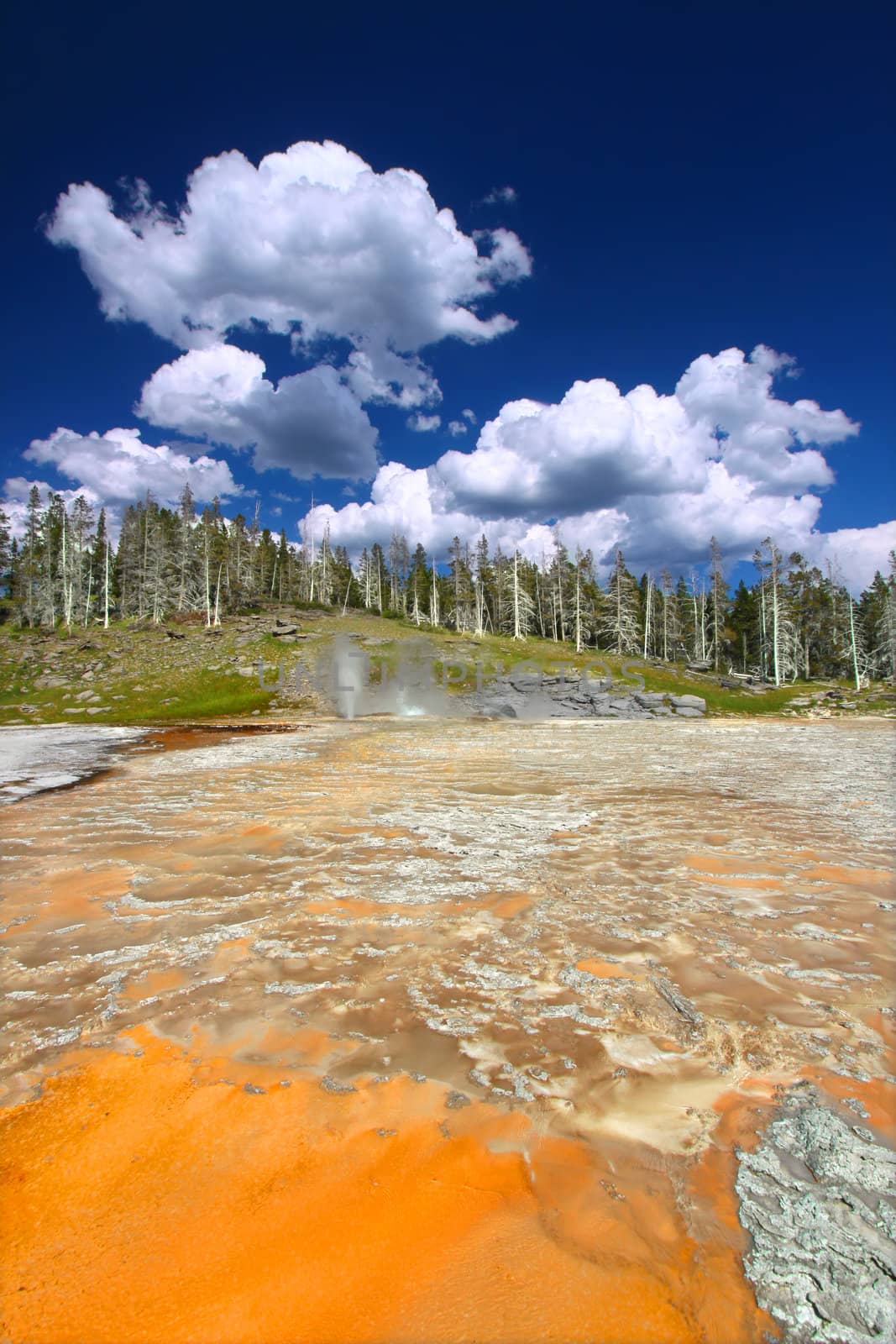 Bright colors of the thermal features near Grand Geyser of Yellowstone National Park.