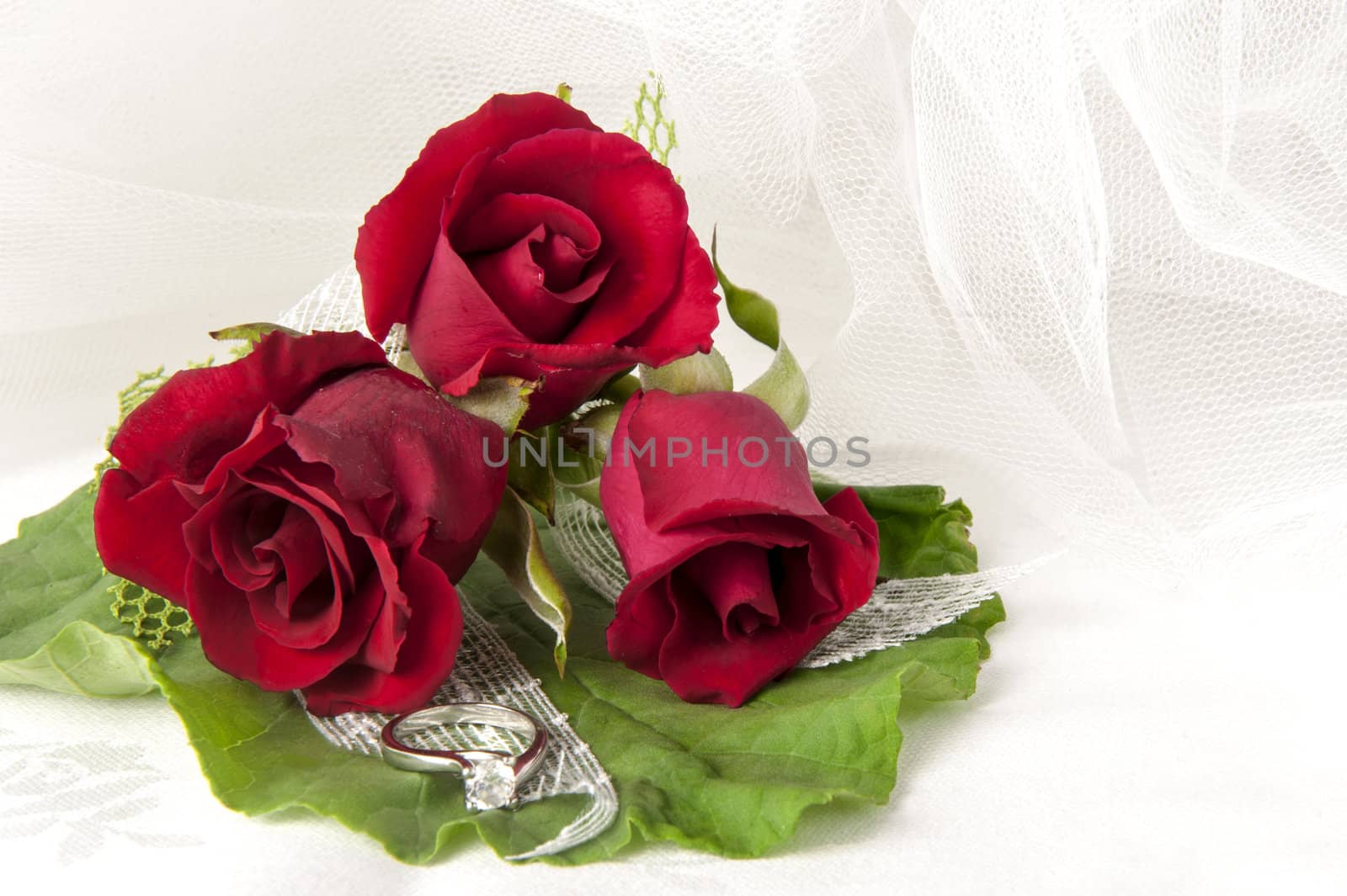red roses and wedding rings by carla720