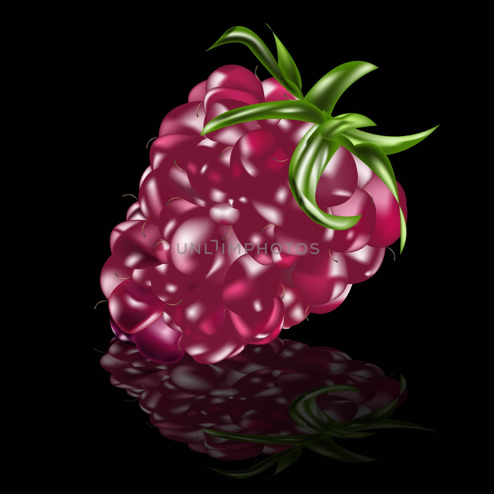 Raspberry on a black background by sergey150770SV