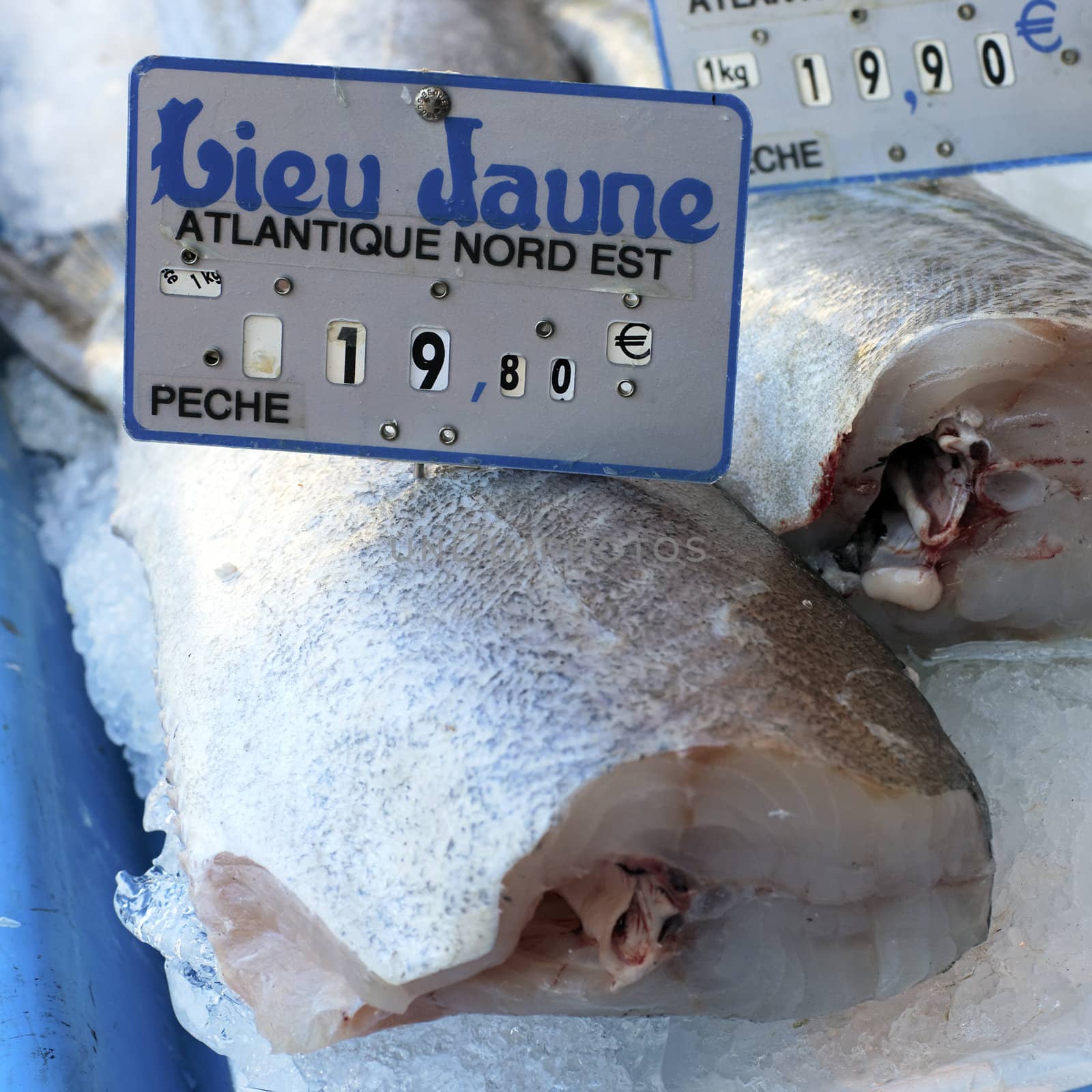 Fishes on a market in France