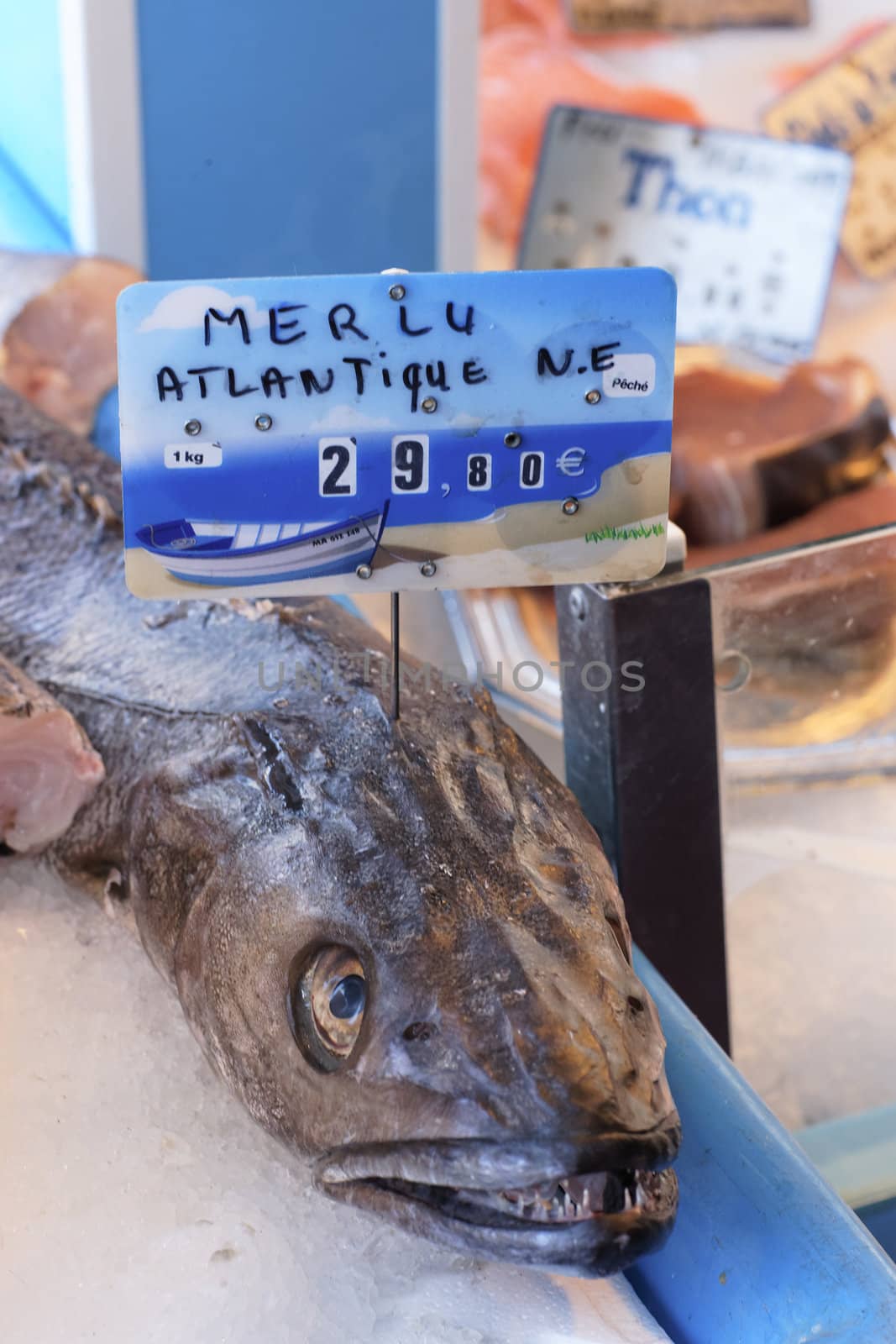 Fresh fishes on a french market 