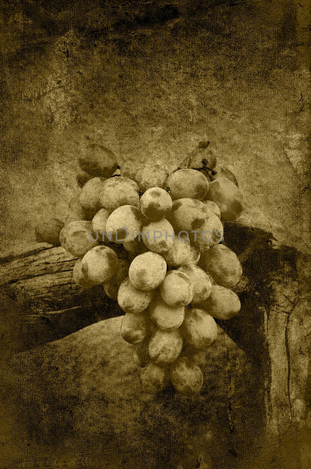 Grungy grapes on driftwood in grunge.