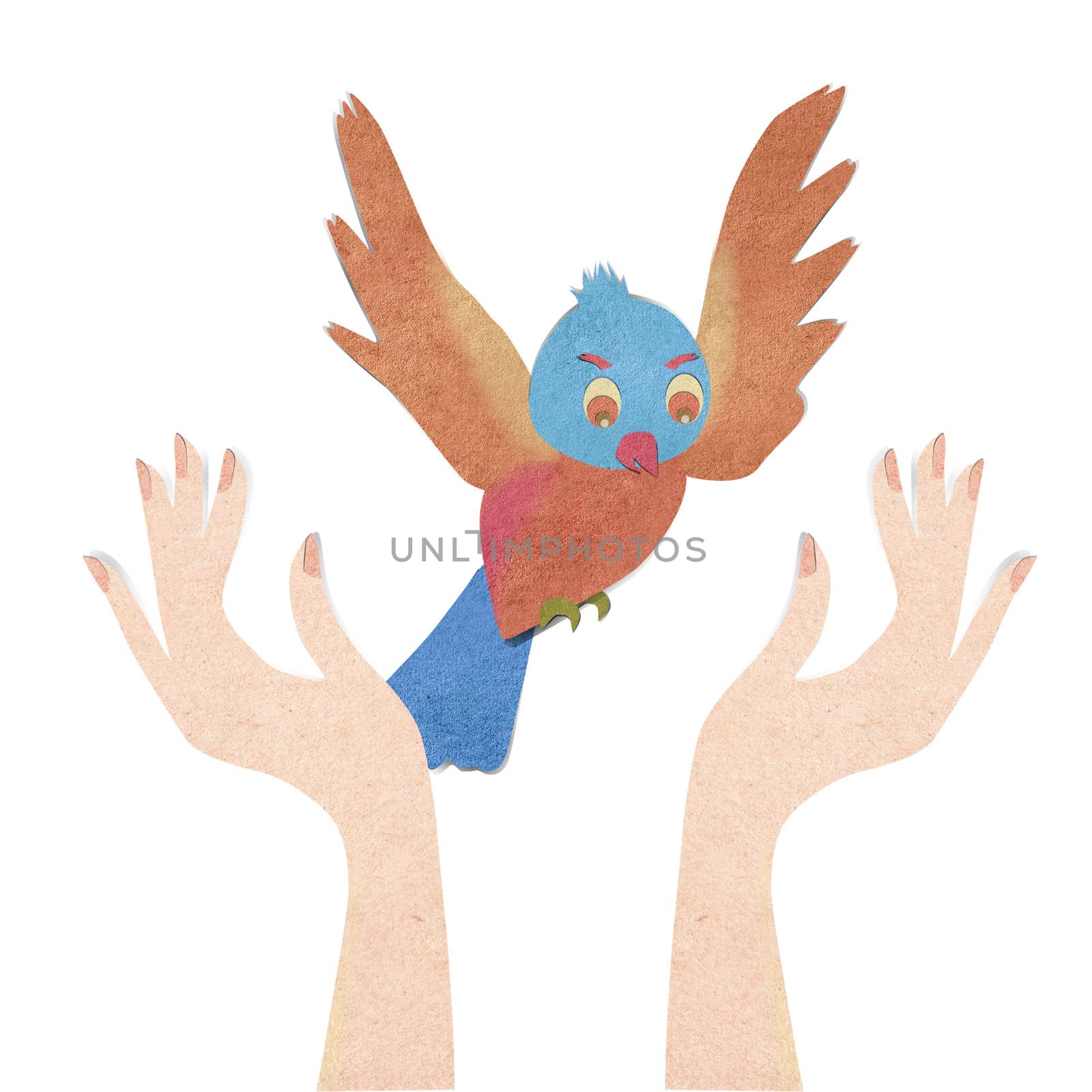 Bird flying from human hand 
 by rufous