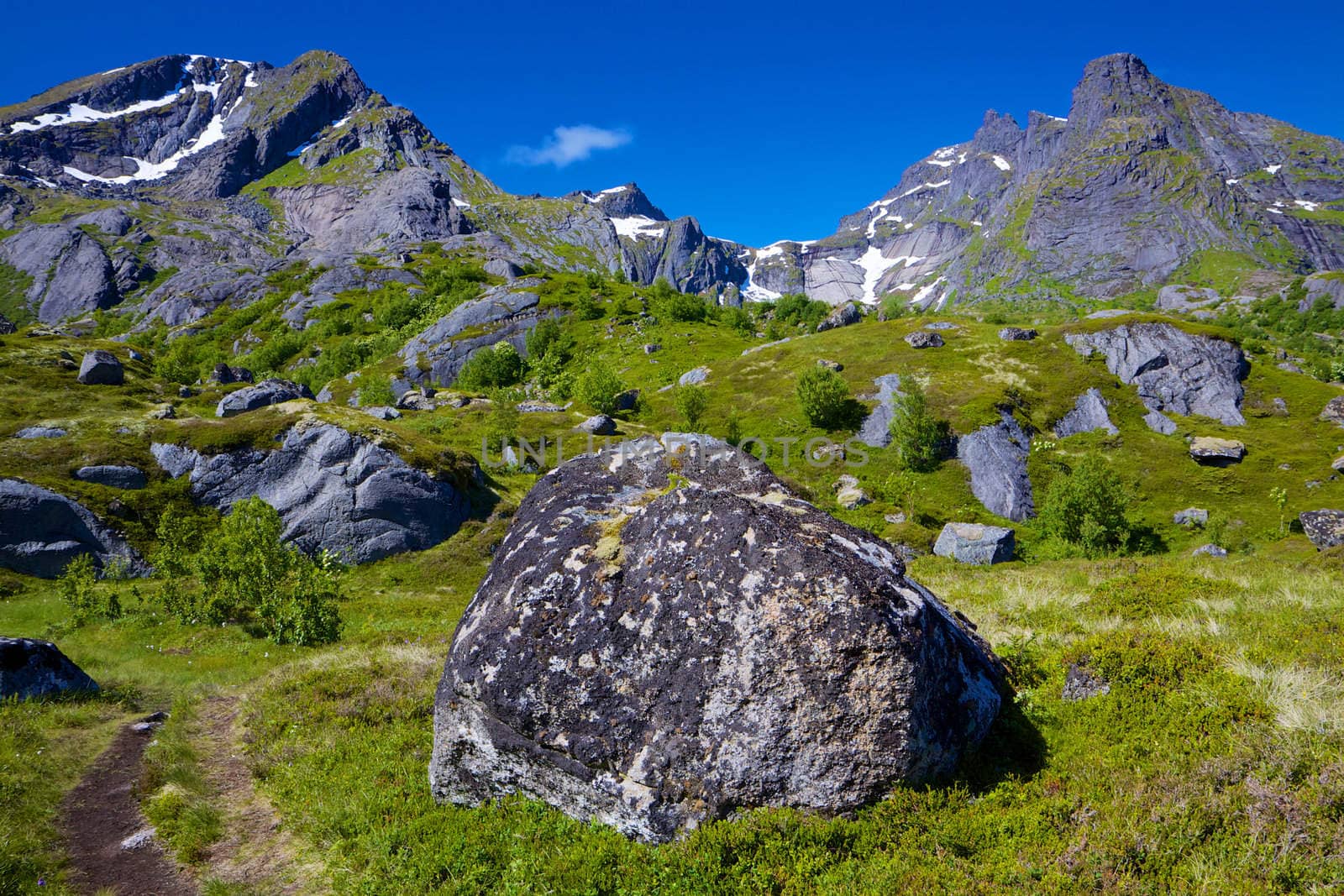 Scenic norwegian mountainous landscape on Lofoten islands during sunny summer day
