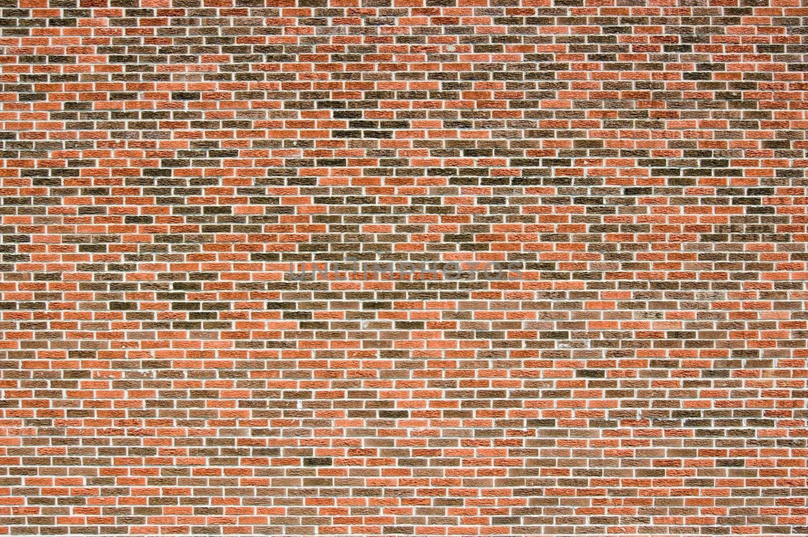 Blind Red and brown brick wall in sunlit.