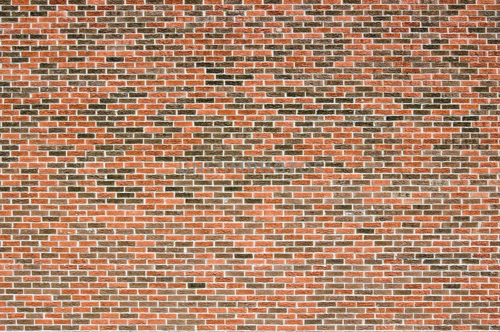 Blind Red and brown brick wall in sunlit.