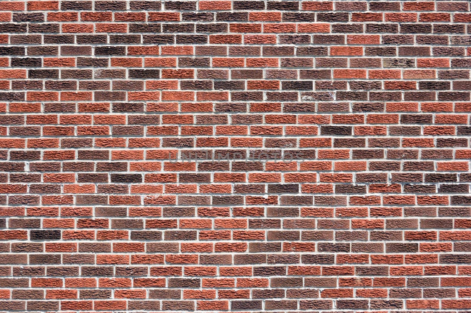 brick wall by PavelS