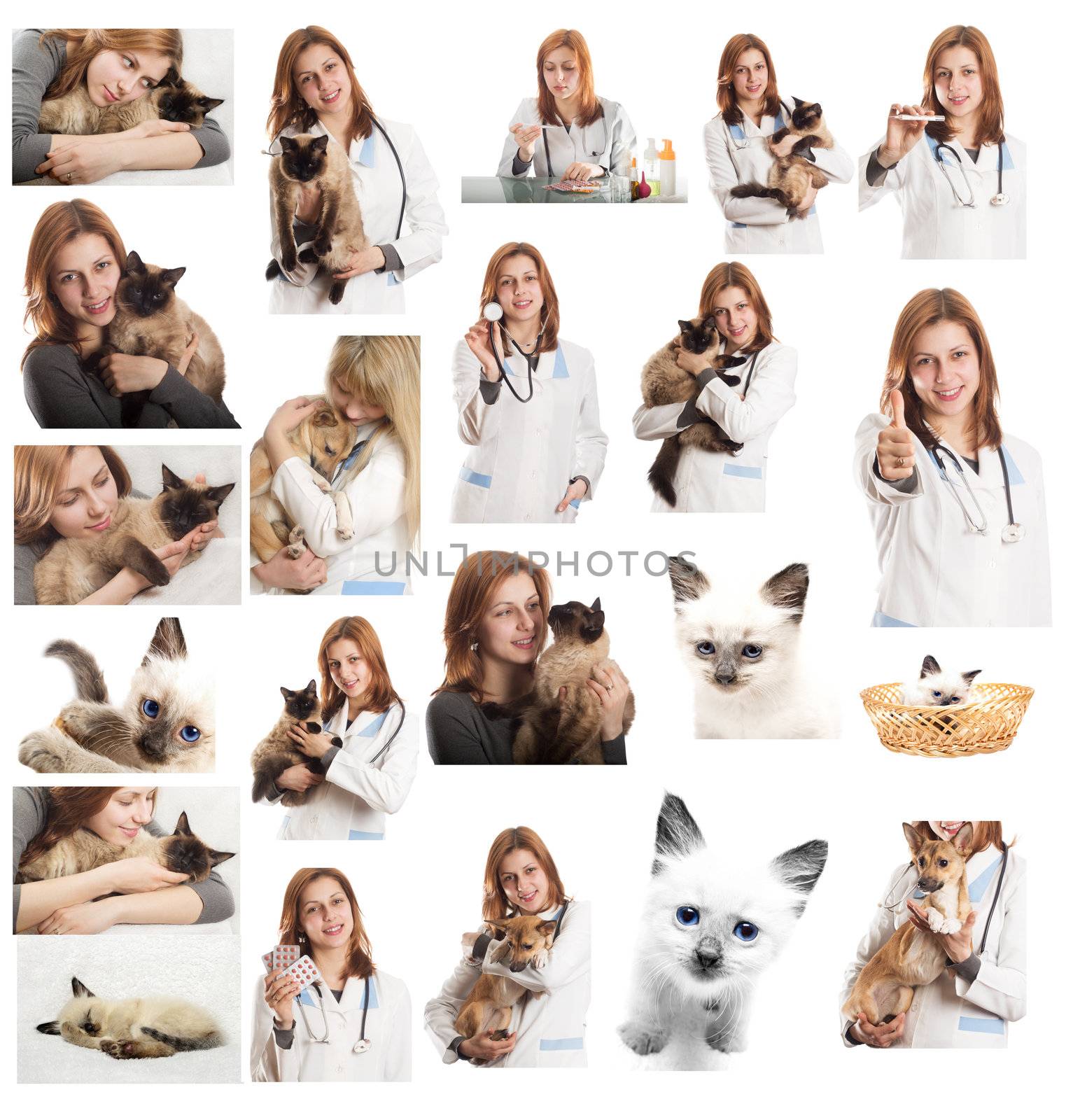 Veterinary doctor in veterinary subjects