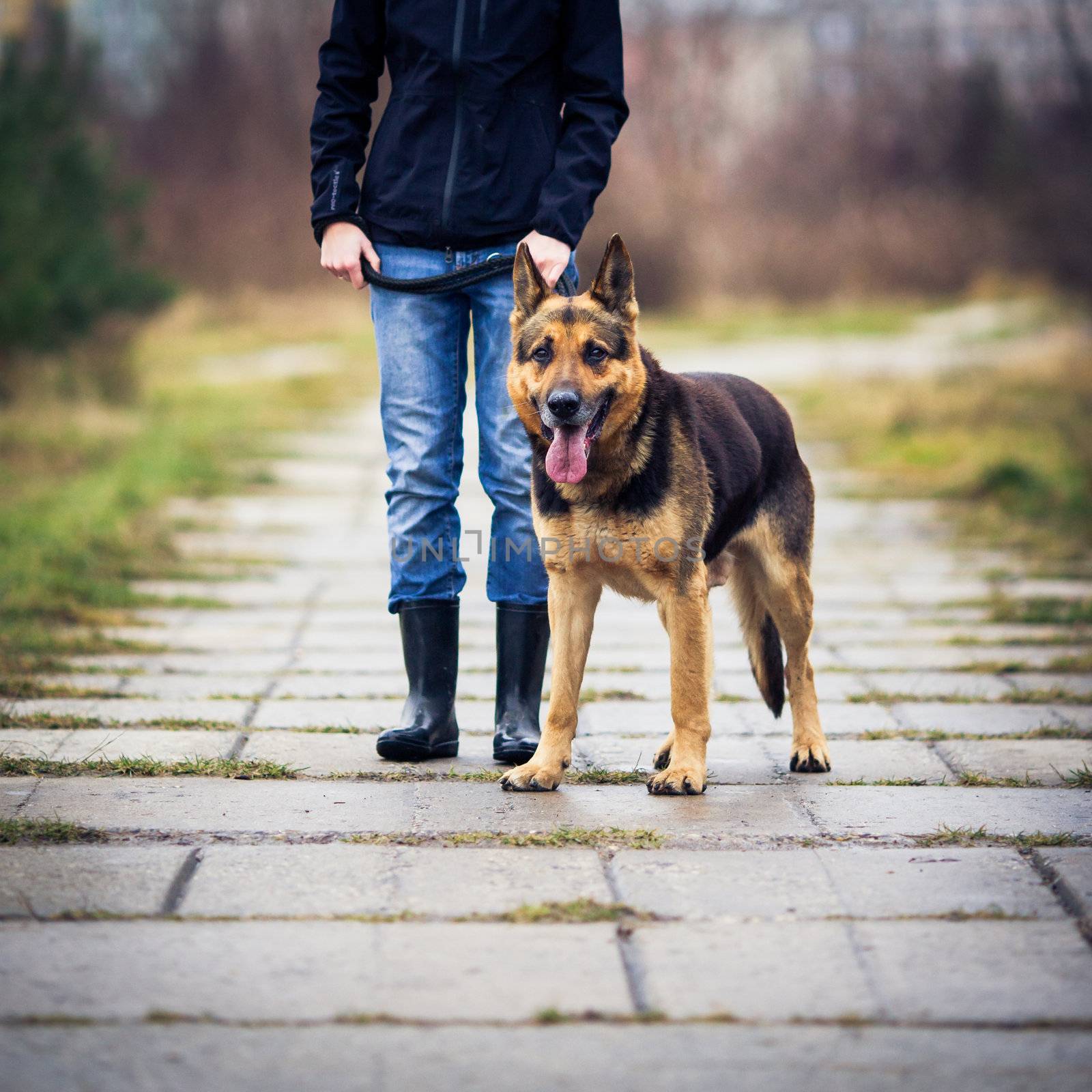 Master and her obedient (German shepherd) dog by viktor_cap