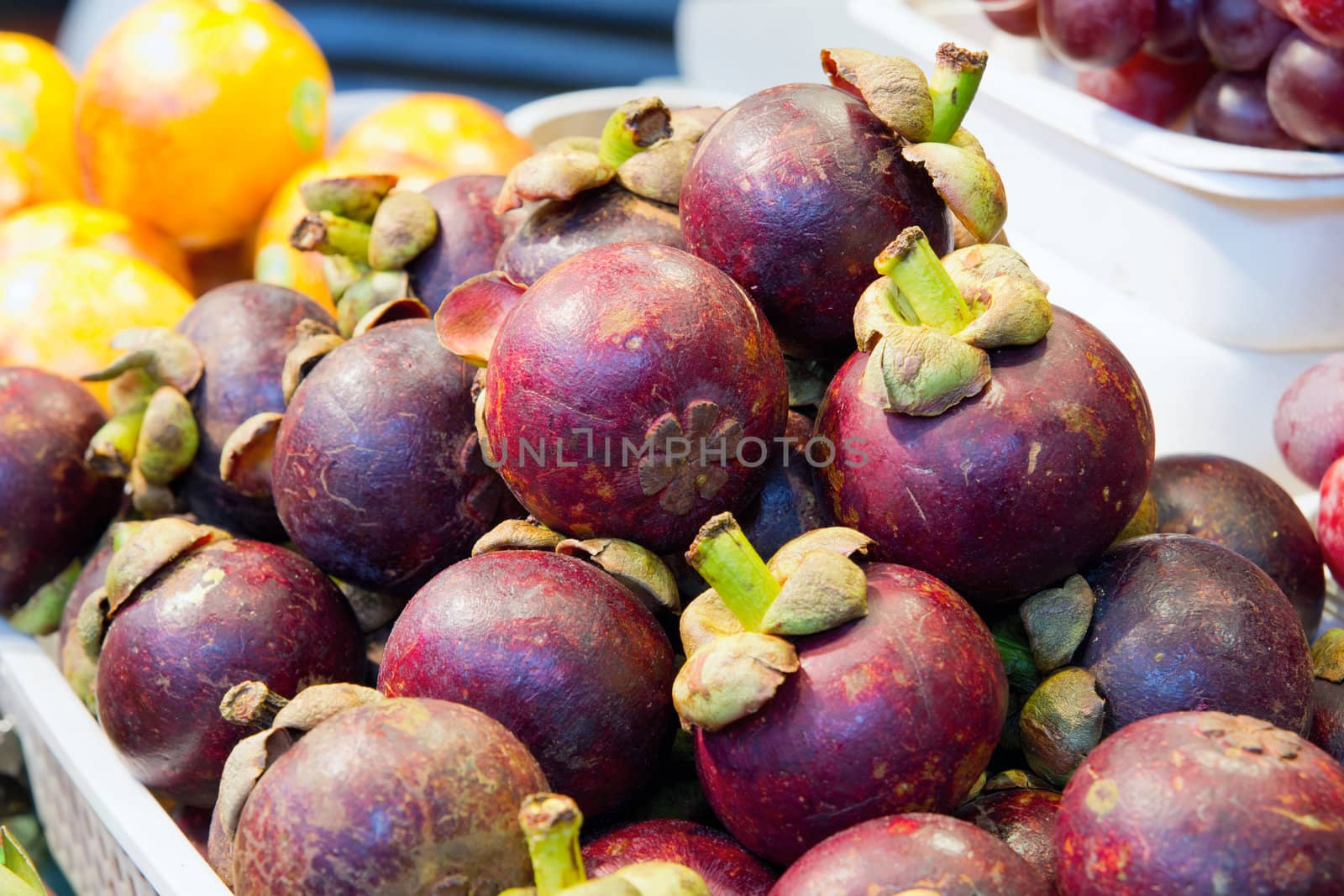 Mangosteen Fruits by jpldesigns