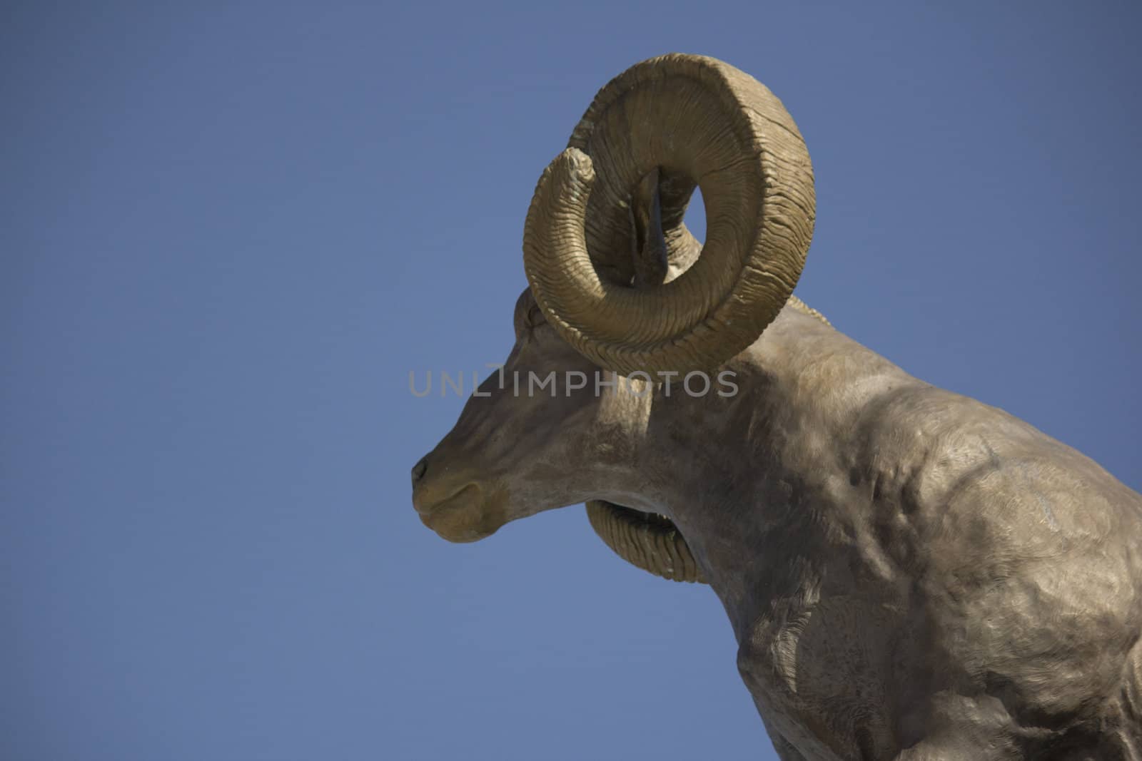 Bronze big horn sheep statue by jeremywhat