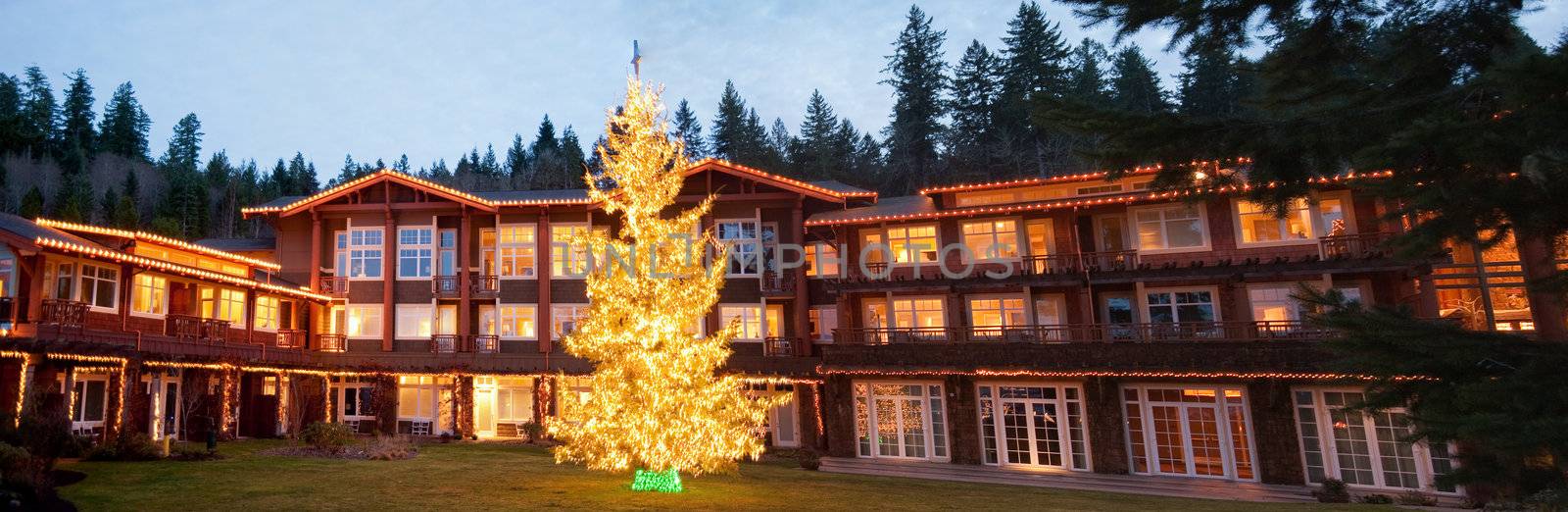 Hotel exterior and Christmas tree