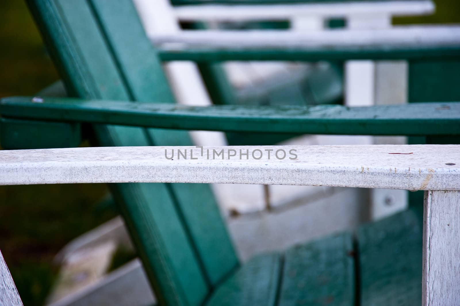 Row of chairs on lawn near Hood Canal