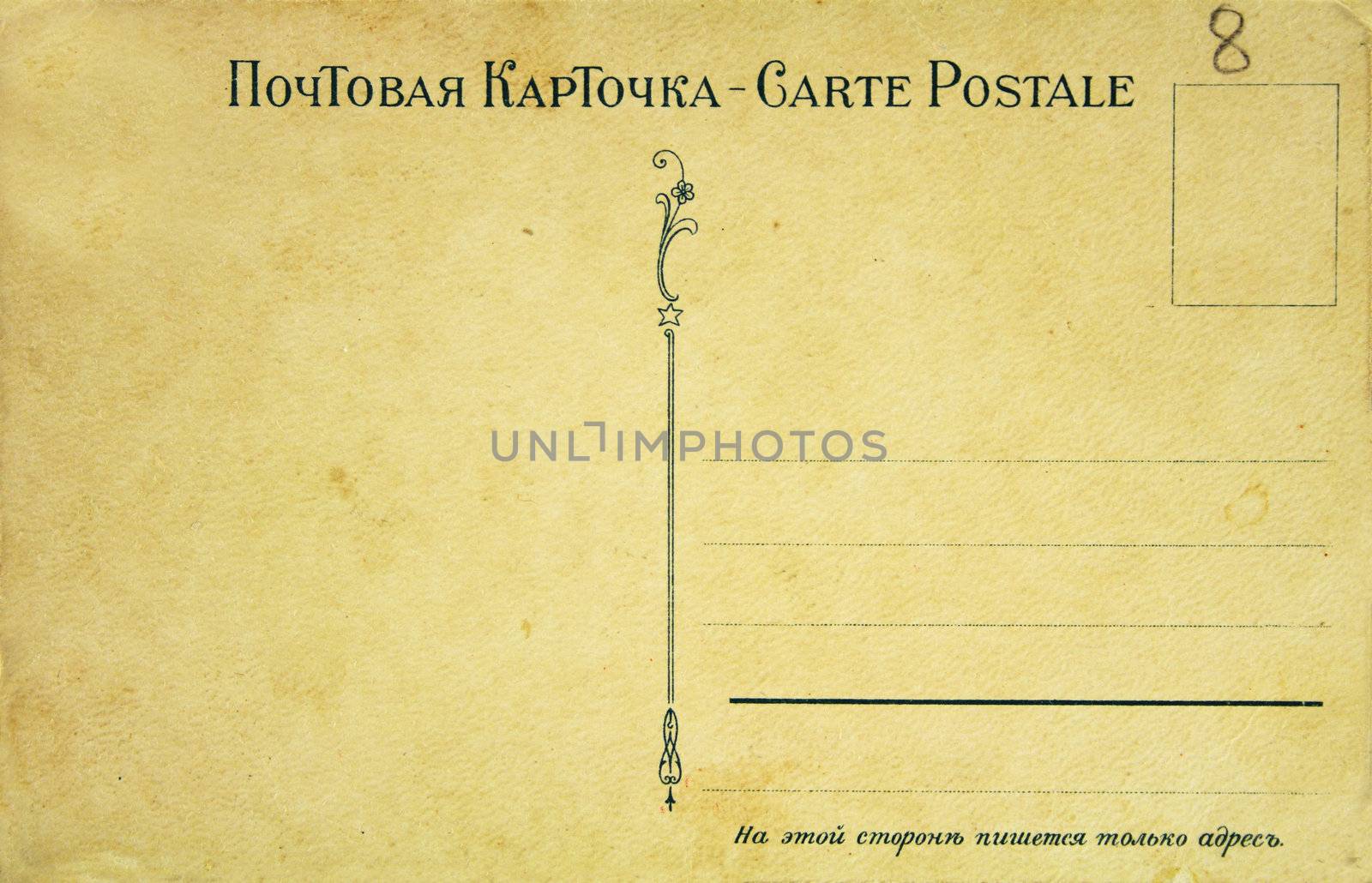 blank back side of an antique post card 