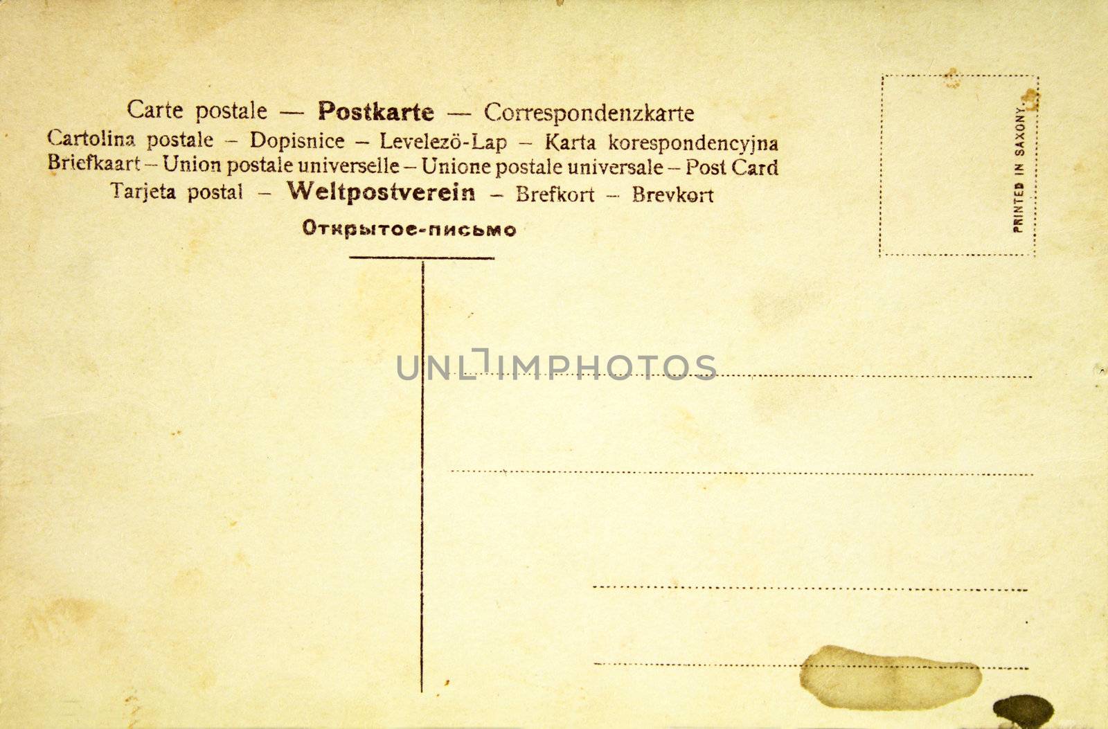 blank back side of an antique post card 