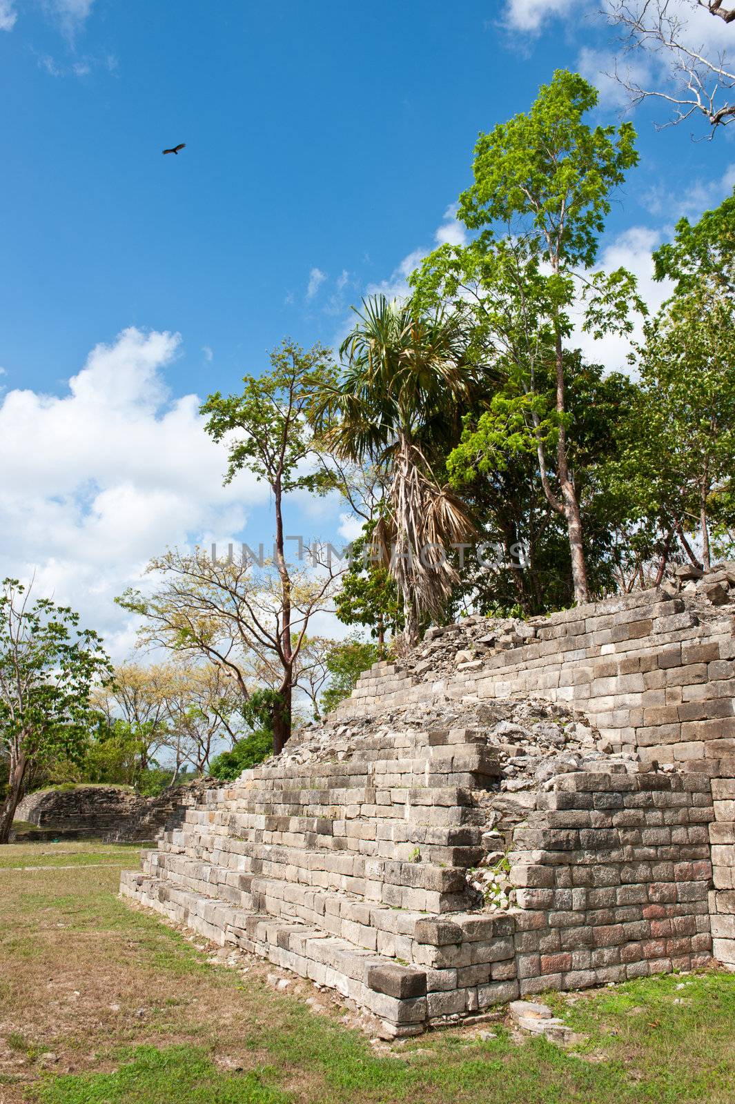 Maya temple in the ancient city of Lubaantum, southern Belize. Central America.